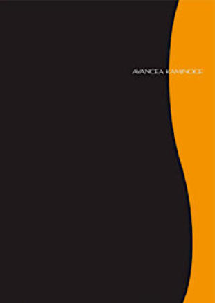 アヴァンシア上野毛｜パンフレット制作実績