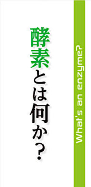 株式会社ファーレンジャパン｜リーフレット制作実績（3）