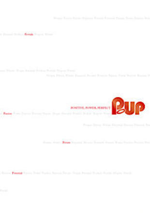 株式会社ピーアップ｜会社案内パンフレット制作実績