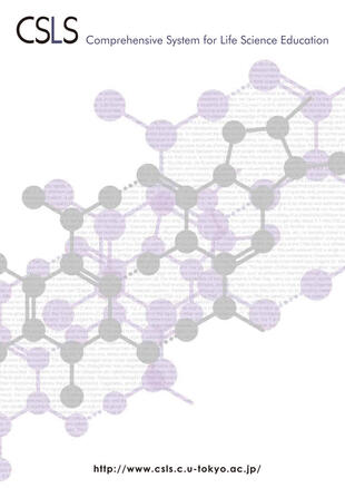 国立大学法人東京大学｜パンフレット制作実績