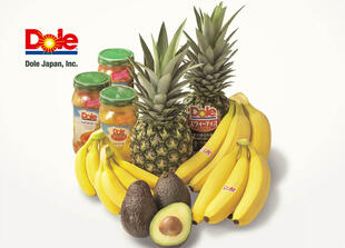 株式会社ドール｜会社案内パンフレット制作実績