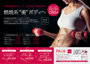 PALMビューティースタジオ池袋｜チラシ制作実績