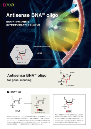 株式会社BNA｜フライヤー制作実績