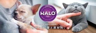 株式会社ベッツ・チョイス・ジャパン [HALO]｜リーフレット制作実績